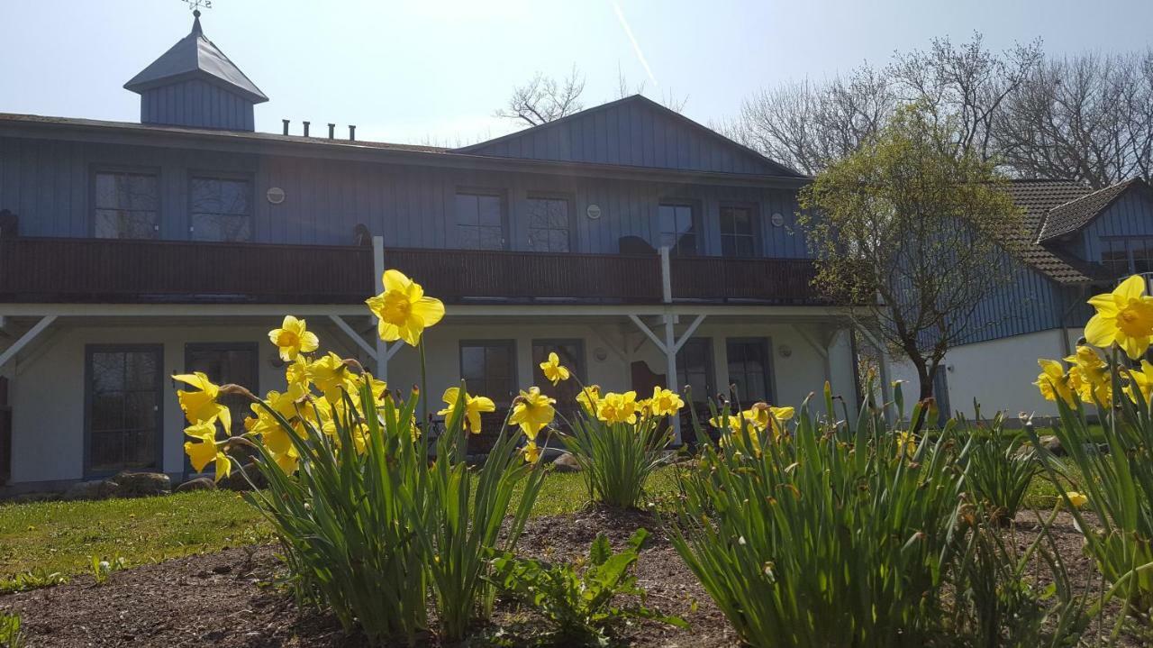 Finja 25 Ferienwohnung Putgarten Kap Arkona Rügen Exterior foto